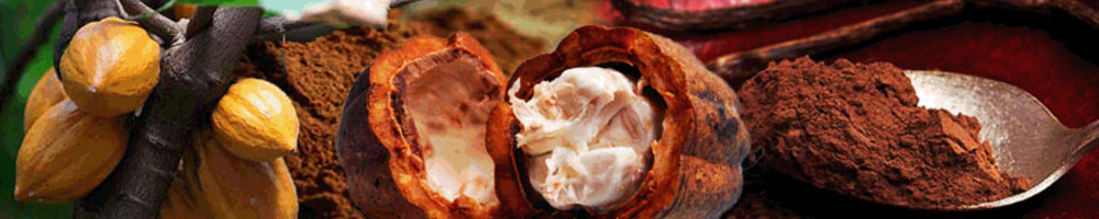 Global expansion 2010-2012